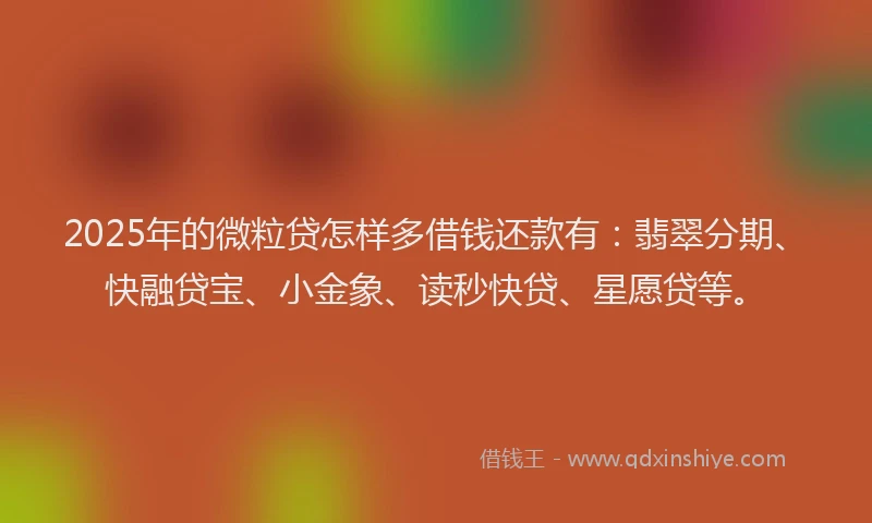 2025年的微粒贷怎样多借钱还款有：翡翠分期、快融贷宝、小金象、读秒快贷、星愿贷等。
