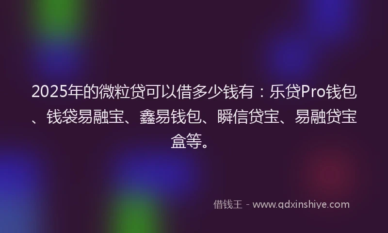 2025年的微粒贷可以借多少钱有：乐贷Pro钱包、钱袋易融宝、鑫易钱包、瞬信贷宝、易融贷宝盒等。