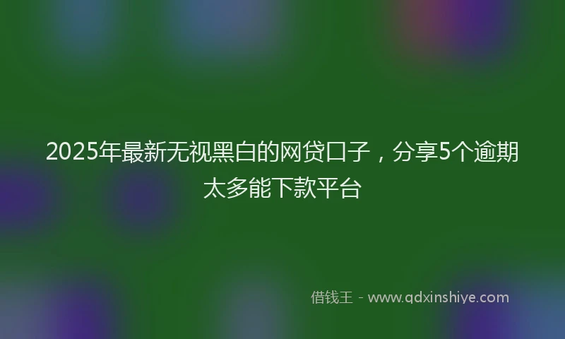 2025年最新无视黑白的网贷口子，分享5个逾期太多能下款平台