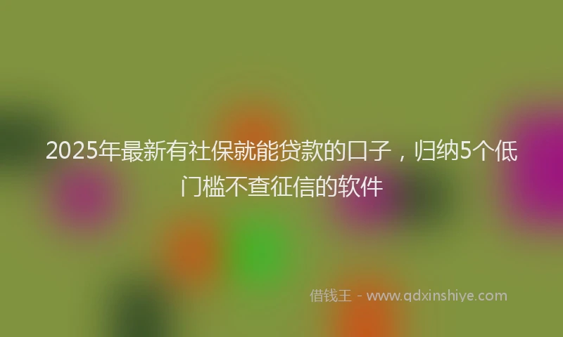 2025年最新有社保就能贷款的口子，归纳5个低门槛不查征信的软件