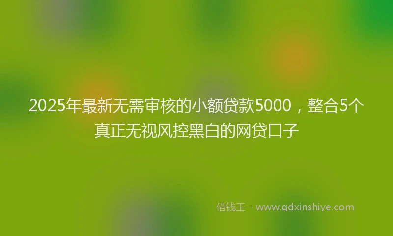 2025年最新无需审核的小额贷款5000，整合5个真正无视风控黑白的网贷口子