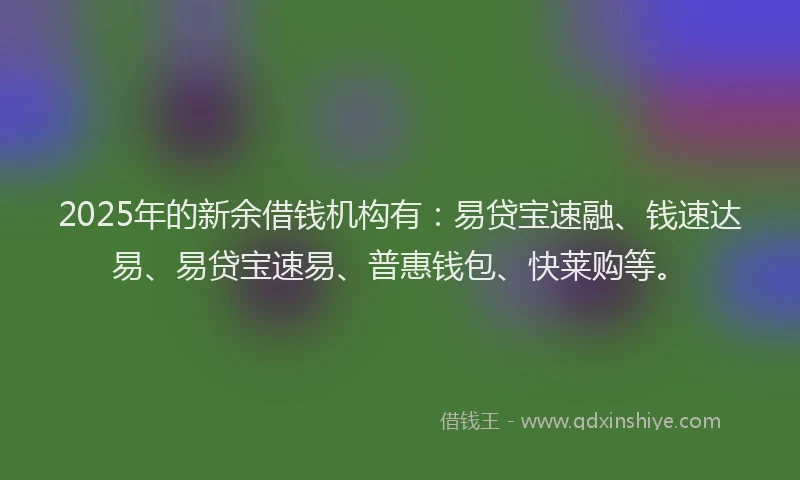 2025年的新余借钱机构有：易贷宝速融、钱速达易、易贷宝速易、普惠钱包、快莱购等。