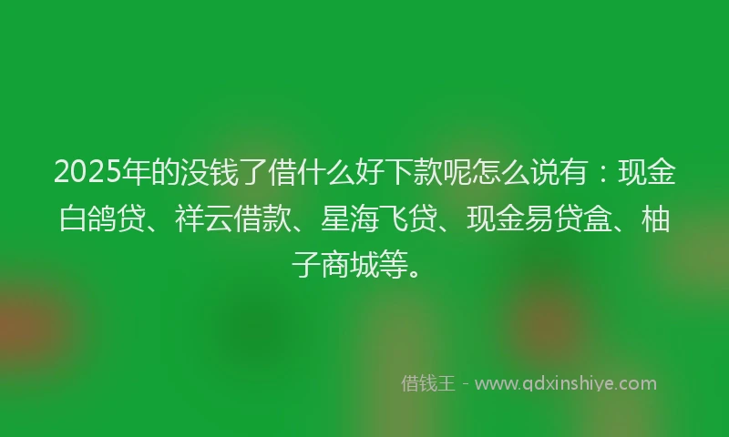 2025年的没钱了借什么好下款呢怎么说有：现金白鸽贷、祥云借款、星海飞贷、现金易贷盒、柚子商城等。