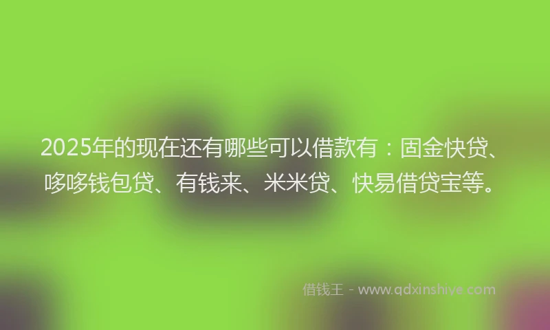 2025年的现在还有哪些可以借款有：固金快贷、哆哆钱包贷、有钱来、米米贷、快易借贷宝等。