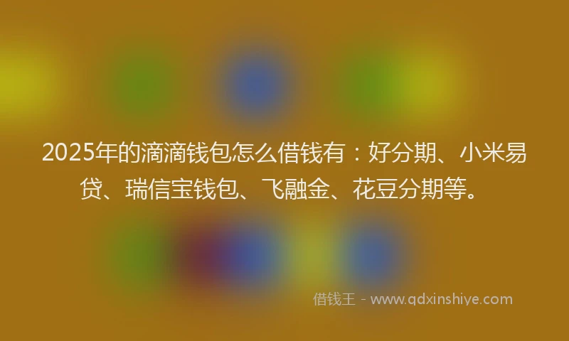 2025年的滴滴钱包怎么借钱有：好分期、小米易贷、瑞信宝钱包、飞融金、花豆分期等。