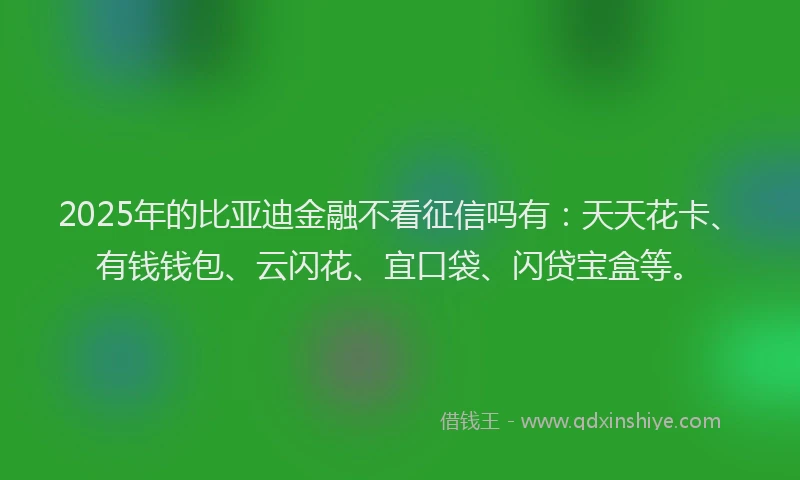 2025年的比亚迪金融不看征信吗有：天天花卡、有钱钱包、云闪花、宜口袋、闪贷宝盒等。
