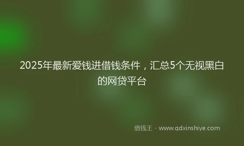 2025年最新爱钱进借钱条件，汇总5个无视黑白的网贷平台