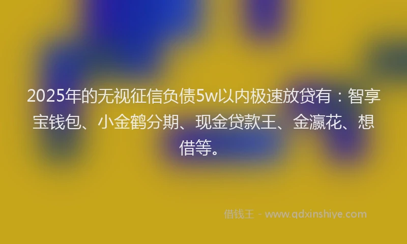 2025年的无视征信负债5w以内极速放贷有：智享宝钱包、小金鹤分期、现金贷款王、金瀛花、想借等。