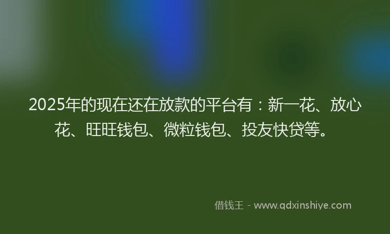 2025年的现在还在放款的平台有：新一花、放心花、旺旺钱包、微粒钱包、投友快贷等。