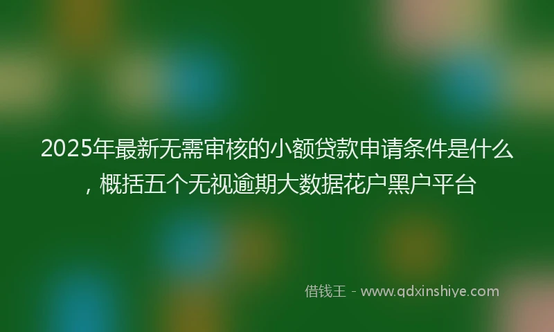 2025年最新无需审核的小额贷款申请条件是什么，概括五个无视逾期大数据花户黑户平台