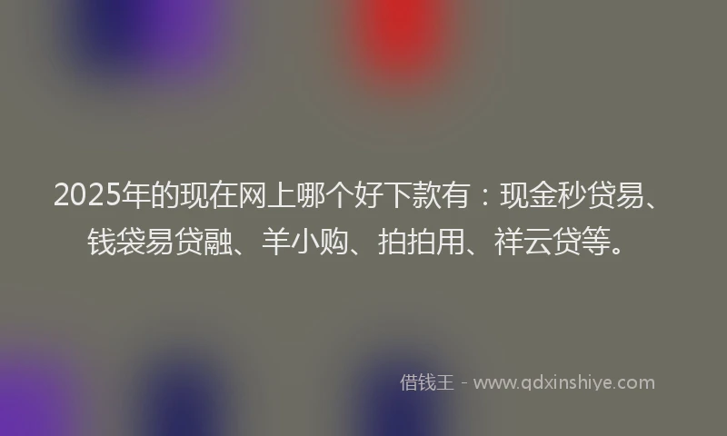 2025年的现在网上哪个好下款有：现金秒贷易、钱袋易贷融、羊小购、拍拍用、祥云贷等。