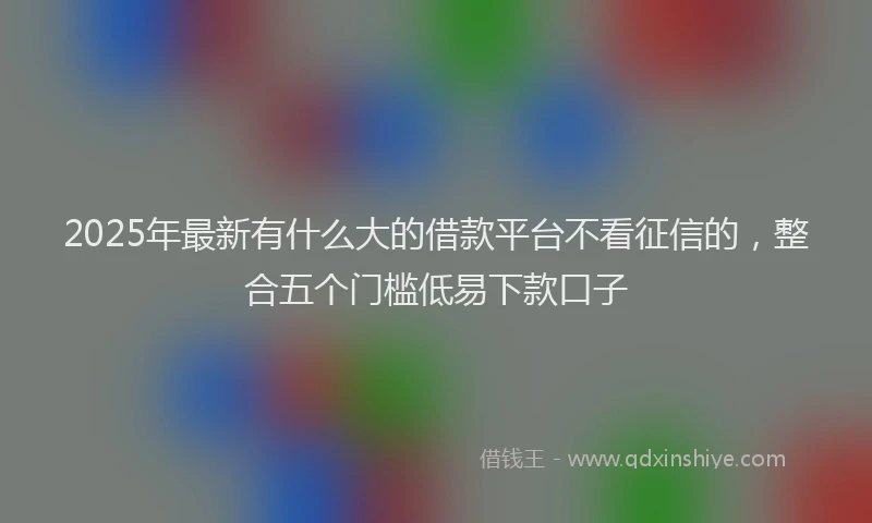 2025年最新有什么大的借款平台不看征信的，整合五个门槛低易下款口子