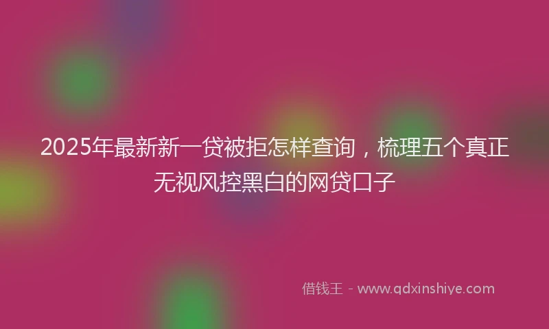 2025年最新新一贷被拒怎样查询，梳理五个真正无视风控黑白的网贷口子