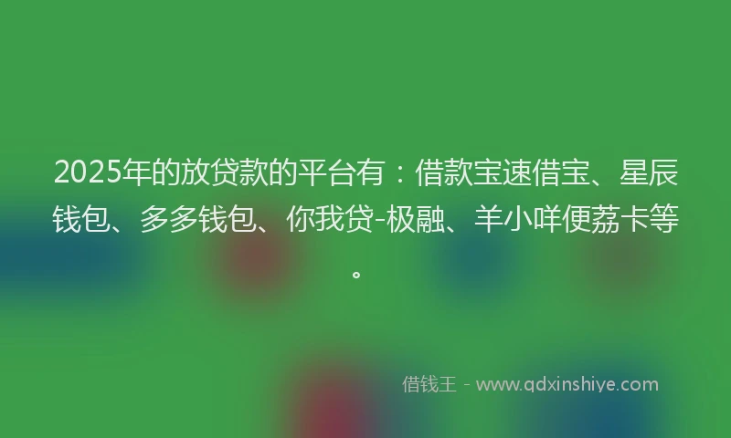 2025年的放贷款的平台有：借款宝速借宝、星辰钱包、多多钱包、你我贷-极融、羊小咩便荔卡等。