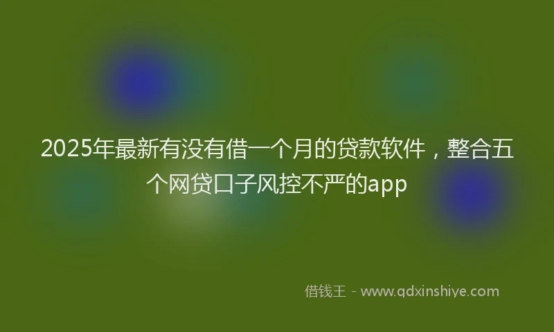 2025年最新有没有借一个月的贷款软件，整合五个网贷口子风控不严的app