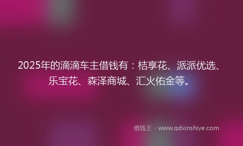 2025年的滴滴车主借钱有：桔享花、派派优选、乐宝花、森泽商城、汇火佑金等。
