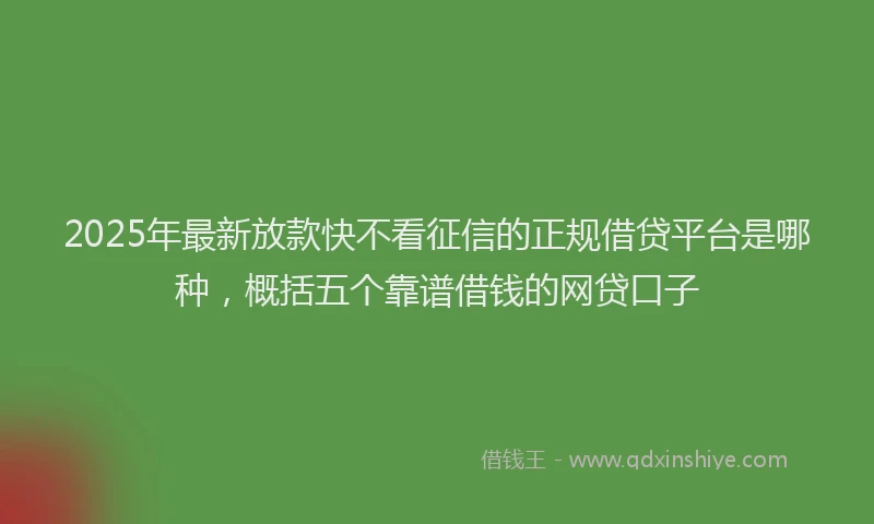 2025年最新放款快不看征信的正规借贷平台是哪种，概括五个靠谱借钱的网贷口子