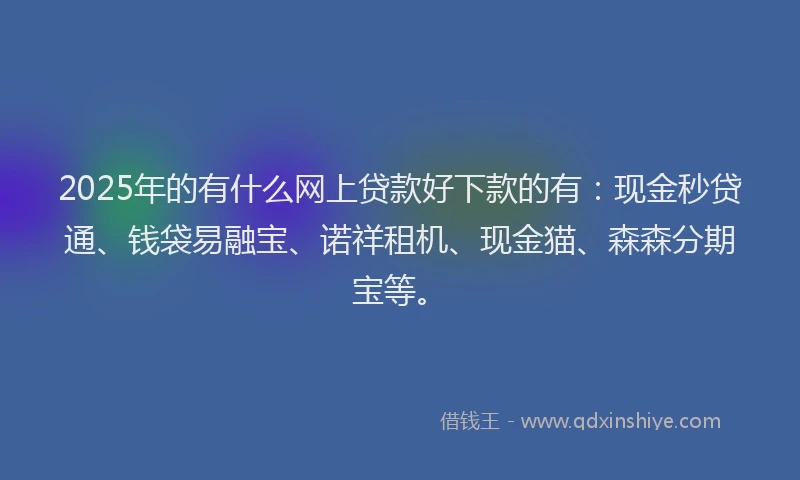 2025年的有什么网上贷款好下款的有：现金秒贷通、钱袋易融宝、诺祥租机、现金猫、森森分期宝等。