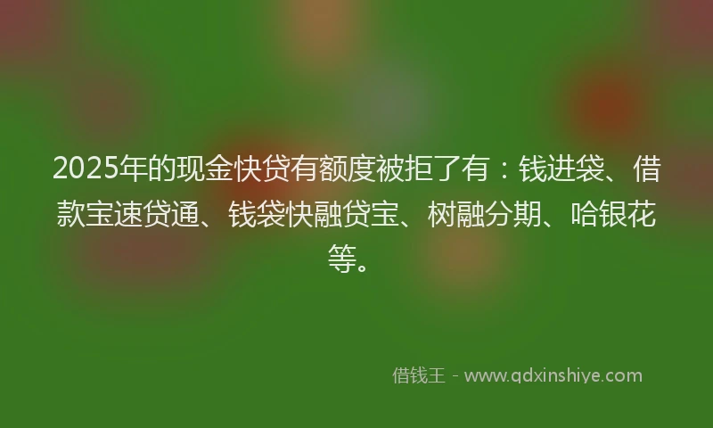 2025年的现金快贷有额度被拒了有：钱进袋、借款宝速贷通、钱袋快融贷宝、树融分期、哈银花等。