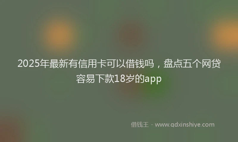 2025年最新有信用卡可以借钱吗，盘点五个网贷容易下款18岁的app