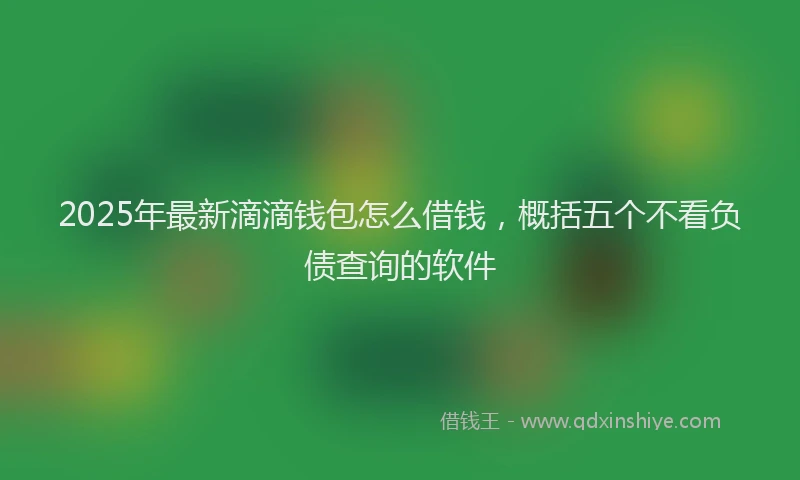 2025年最新滴滴钱包怎么借钱，概括五个不看负债查询的软件