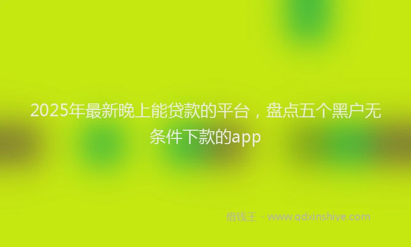 2025年最新晚上能贷款的平台，盘点五个黑户无条件下款的app