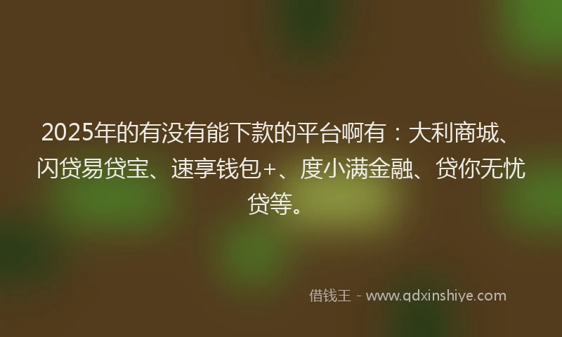 2025年的有没有能下款的平台啊有：大利商城、闪贷易贷宝、速享钱包+、度小满金融、贷你无忧贷等。