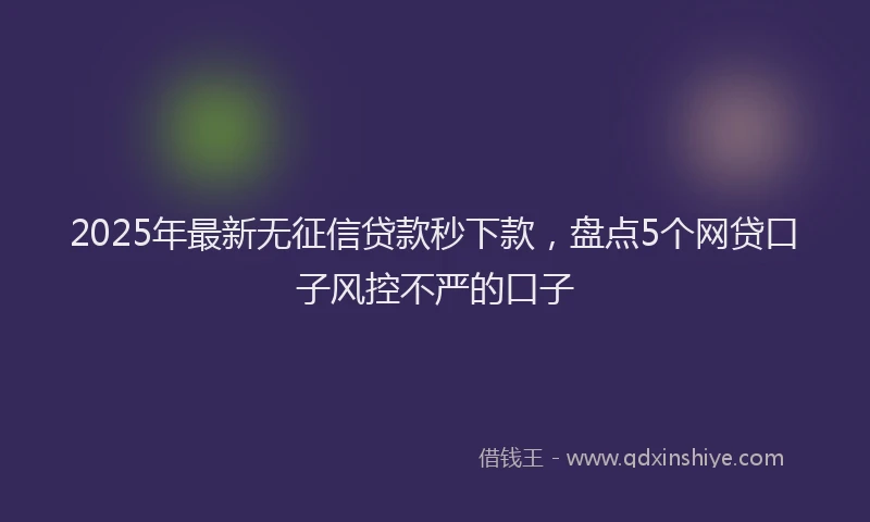 2025年最新无征信贷款秒下款，盘点5个网贷口子风控不严的口子