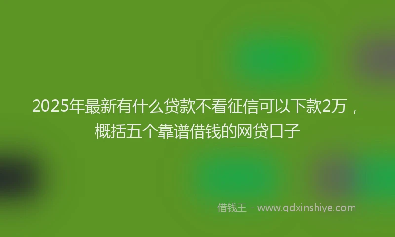 2025年最新有什么贷款不看征信可以下款2万，概括五个靠谱借钱的网贷口子