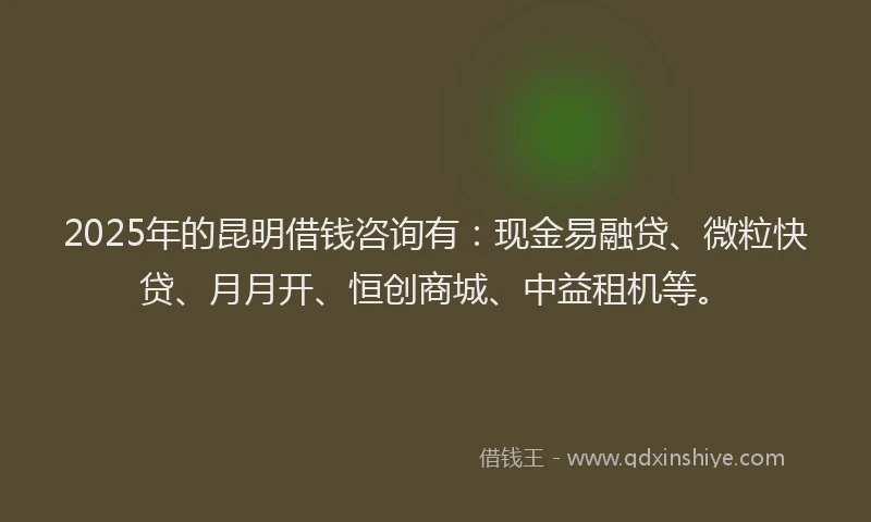 2025年的昆明借钱咨询有：现金易融贷、微粒快贷、月月开、恒创商城、中益租机等。