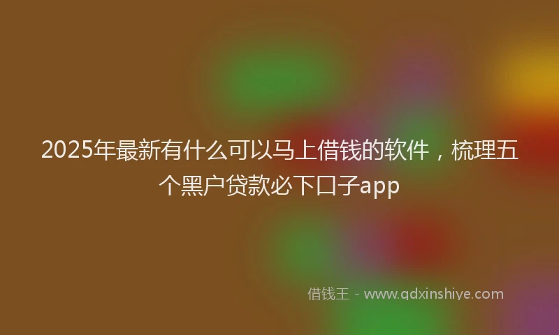 2025年最新有什么可以马上借钱的软件，梳理五个黑户贷款必下口子app