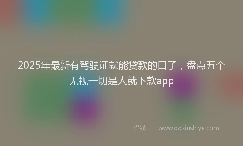 2025年最新有驾驶证就能贷款的口子，盘点五个无视一切是人就下款app