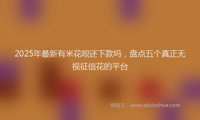 2025年最新有米花呗还下款吗，盘点五个真正无视征信花的平台