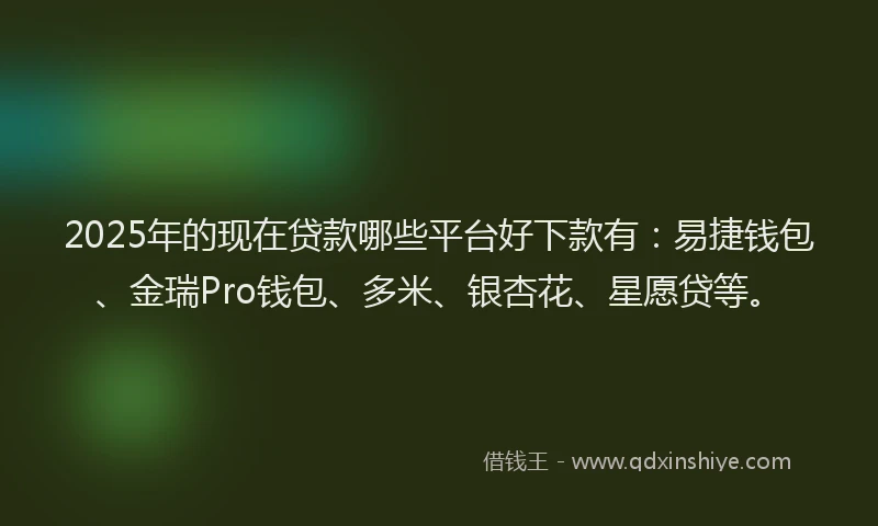 2025年的现在贷款哪些平台好下款有：易捷钱包、金瑞Pro钱包、多米、银杏花、星愿贷等。