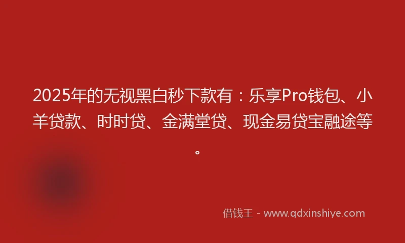 2025年的无视黑白秒下款有：乐享Pro钱包、小羊贷款、时时贷、金满堂贷、现金易贷宝融途等。