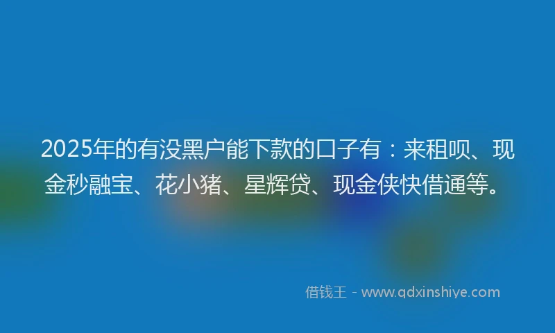 2025年的有没黑户能下款的口子有：来租呗、现金秒融宝、花小猪、星辉贷、现金侠快借通等。