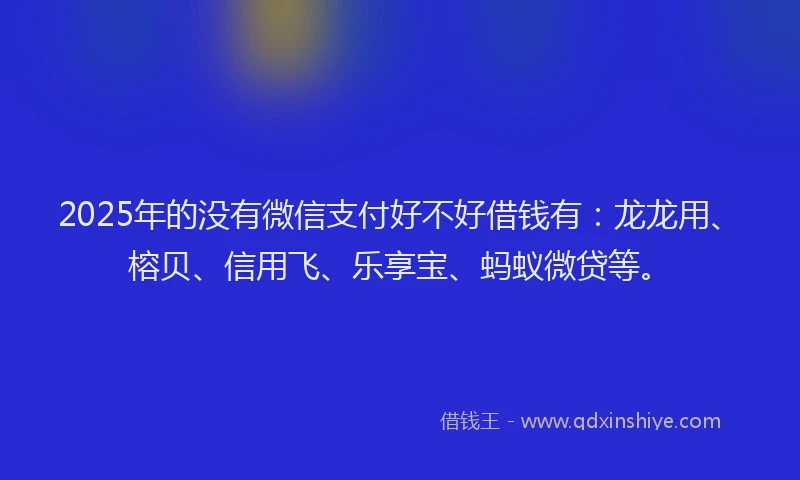2025年的没有微信支付好不好借钱有：龙龙用、榕贝、信用飞、乐享宝、蚂蚁微贷等。