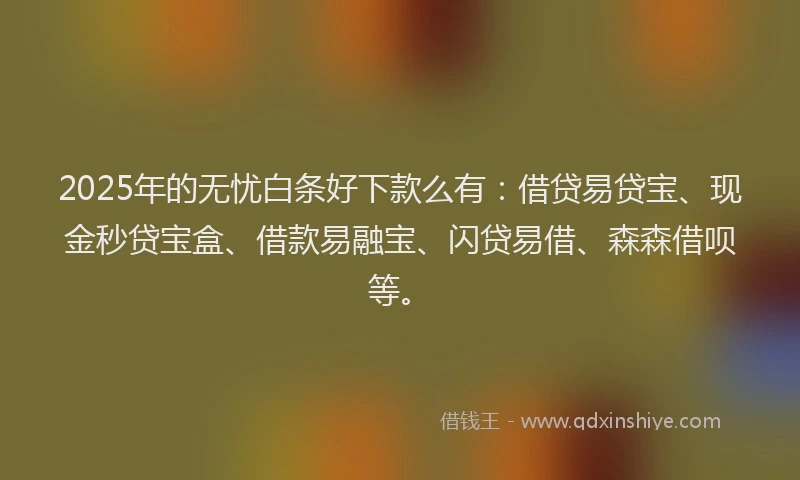 2025年的无忧白条好下款么有：借贷易贷宝、现金秒贷宝盒、借款易融宝、闪贷易借、森森借呗等。