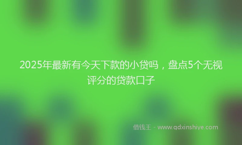 2025年最新有今天下款的小贷吗，盘点5个无视评分的贷款口子