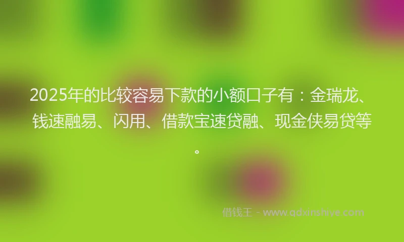 2025年的比较容易下款的小额口子有：金瑞龙、钱速融易、闪用、借款宝速贷融、现金侠易贷等。