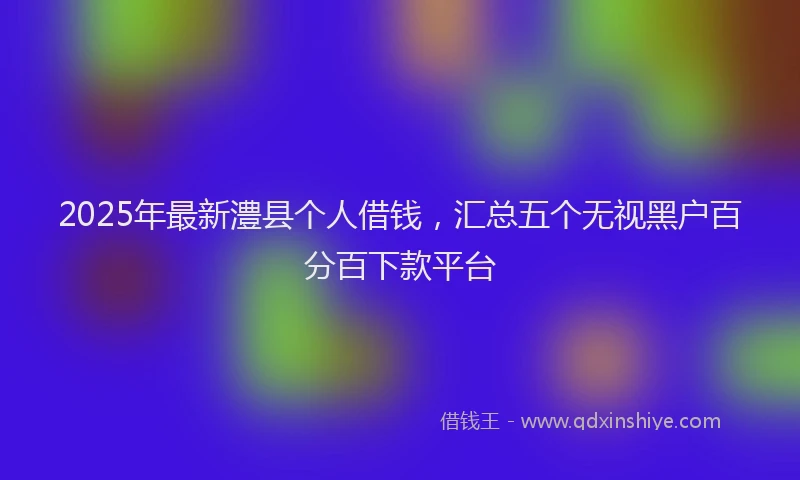 2025年最新澧县个人借钱，汇总五个无视黑户百分百下款平台