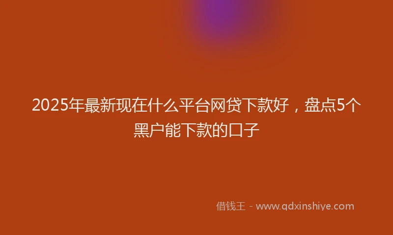 2025年最新现在什么平台网贷下款好，盘点5个黑户能下款的口子