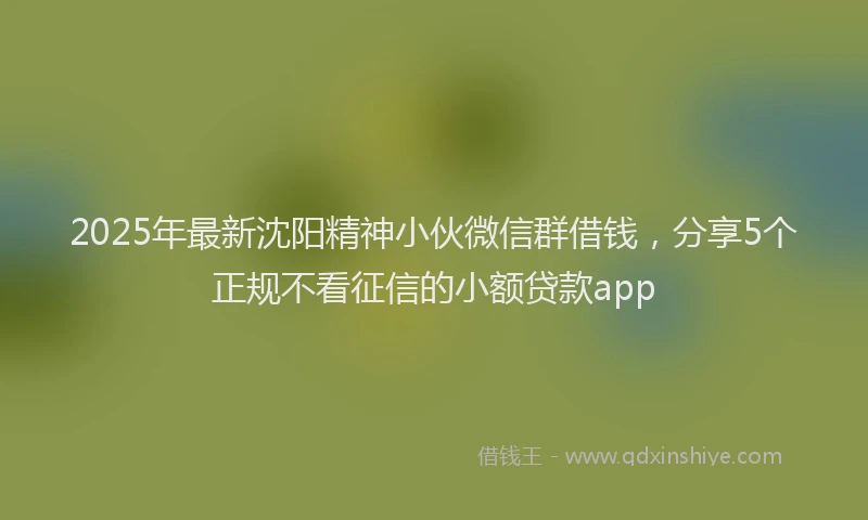 2025年最新沈阳精神小伙微信群借钱，分享5个正规不看征信的小额贷款app