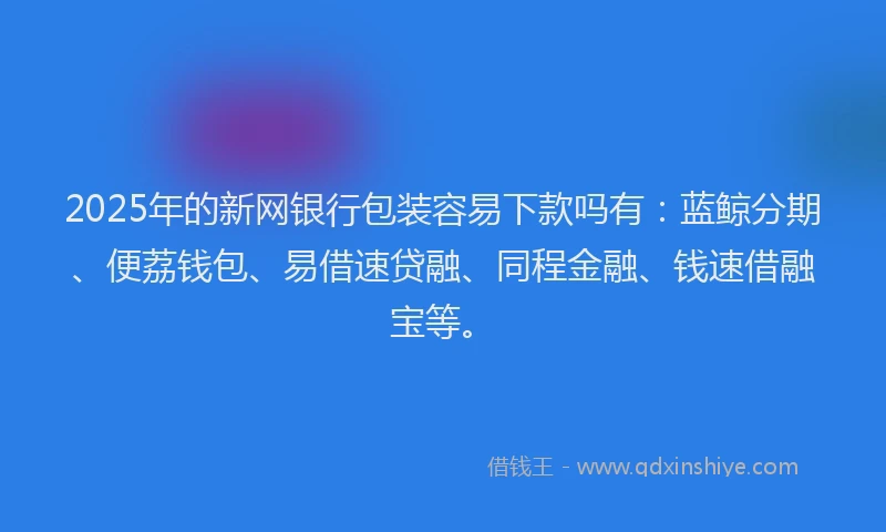 2025年的新网银行包装容易下款吗有：蓝鲸分期、便荔钱包、易借速贷融、同程金融、钱速借融宝等。