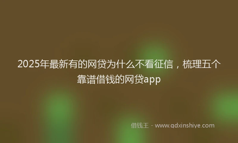 2025年最新有的网贷为什么不看征信，梳理五个靠谱借钱的网贷app
