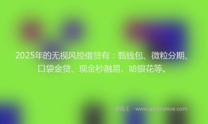 2025年的无视风控借贷有：甄钱包、微粒分期、口袋金贷、现金秒融易、哈银花等。