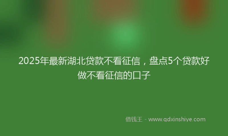2025年最新湖北贷款不看征信，盘点5个贷款好做不看征信的口子