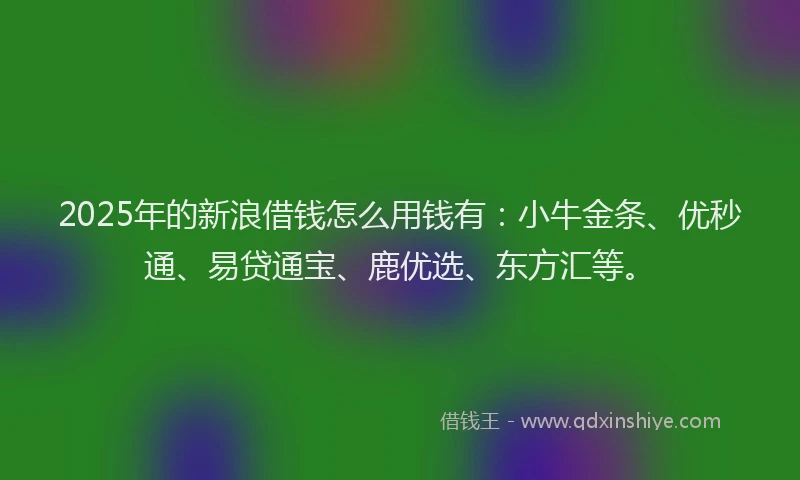 2025年的新浪借钱怎么用钱有：小牛金条、优秒通、易贷通宝、鹿优选、东方汇等。