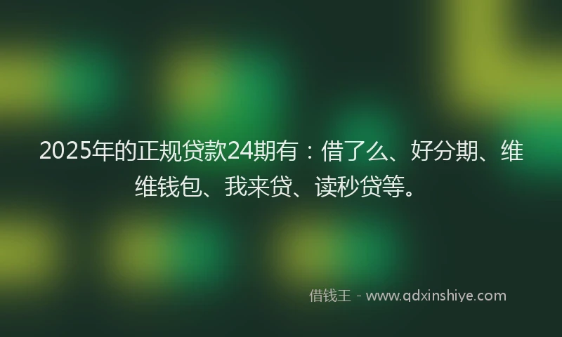 2025年的正规贷款24期有：借了么、好分期、维维钱包、我来贷、读秒贷等。