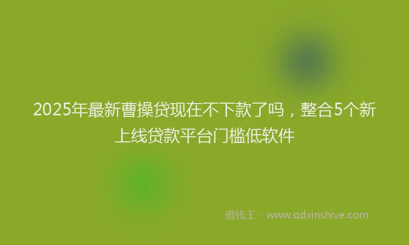 2025年最新曹操贷现在不下款了吗，整合5个新上线贷款平台门槛低软件